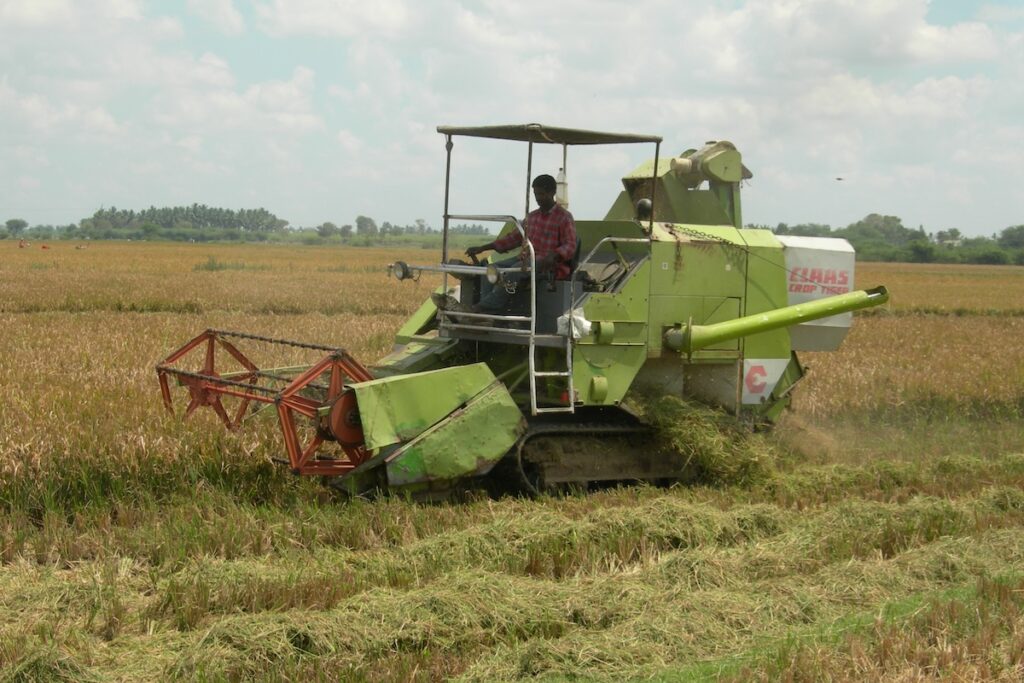 A farmer harvesting crop
